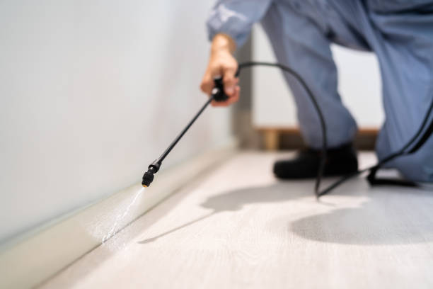 Licensed Rodent Control service in Grove City, PA - Nex Pest Control