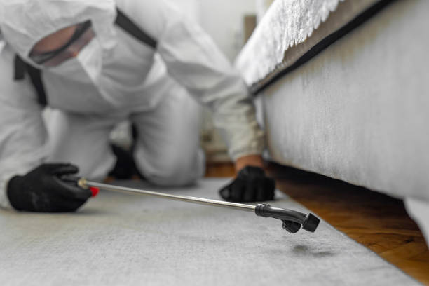 Professional Rodent Control technician working in Grove City, PA