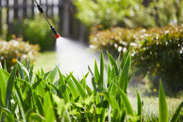 24/7 Emergency Rodent Control experts in Grove City, PA