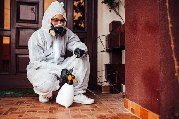 Reliable Rodent Control contractor in Grove City, PA by Nex Pest Control
