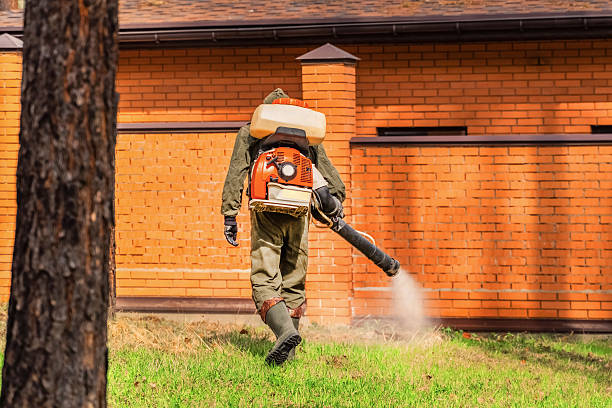 Trusted Rodent Control service in Grove City, PA - Nex Pest Control
